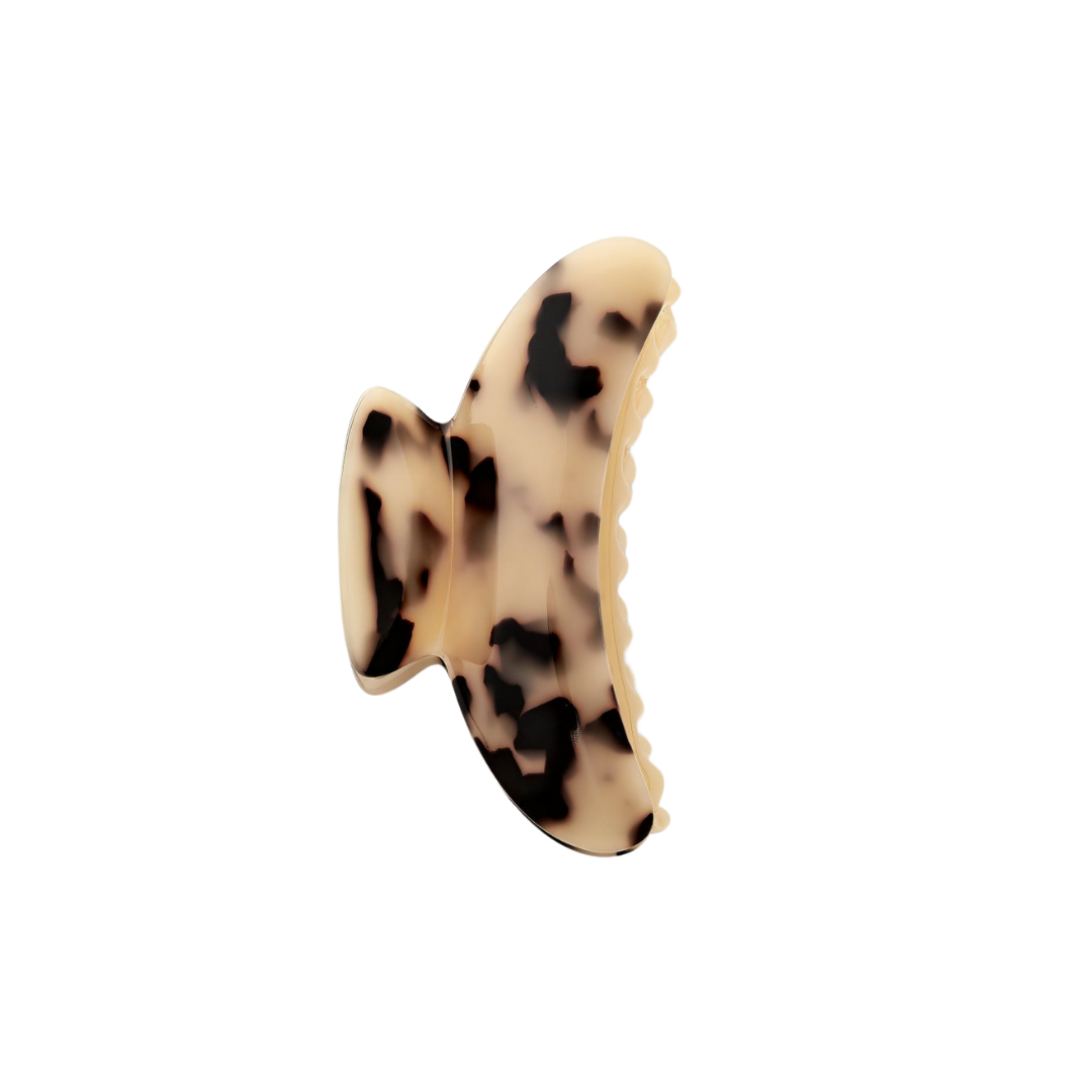 #Color_blonde-tortoise